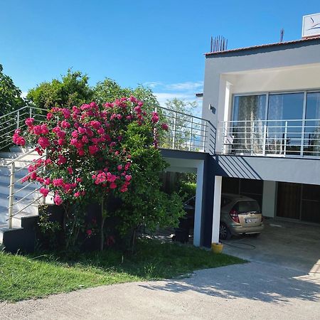 Leli Apartments 乌尔齐尼 外观 照片